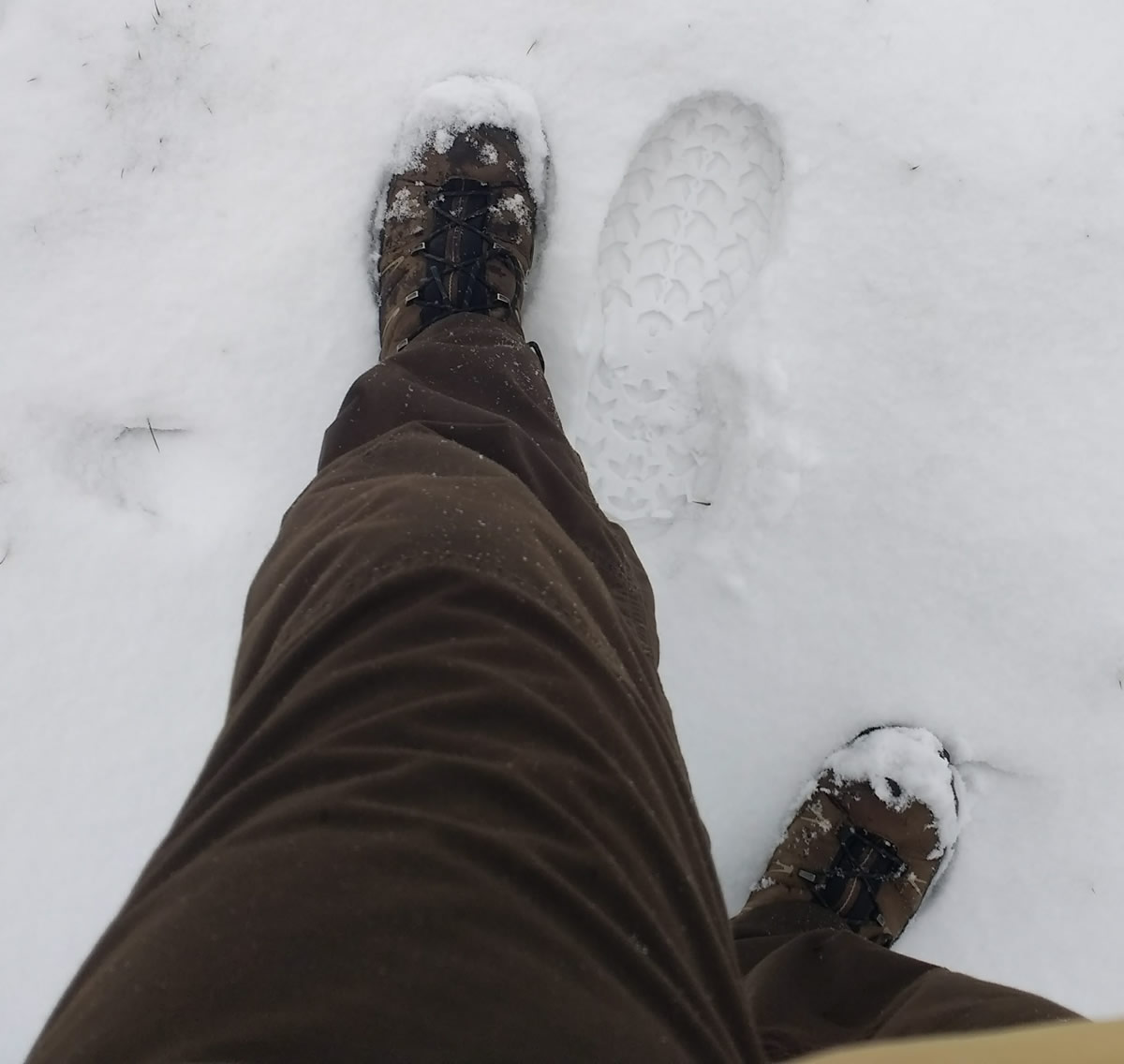 snowy salomon hiking boot test