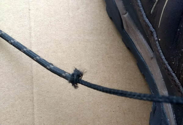 salomon test failure